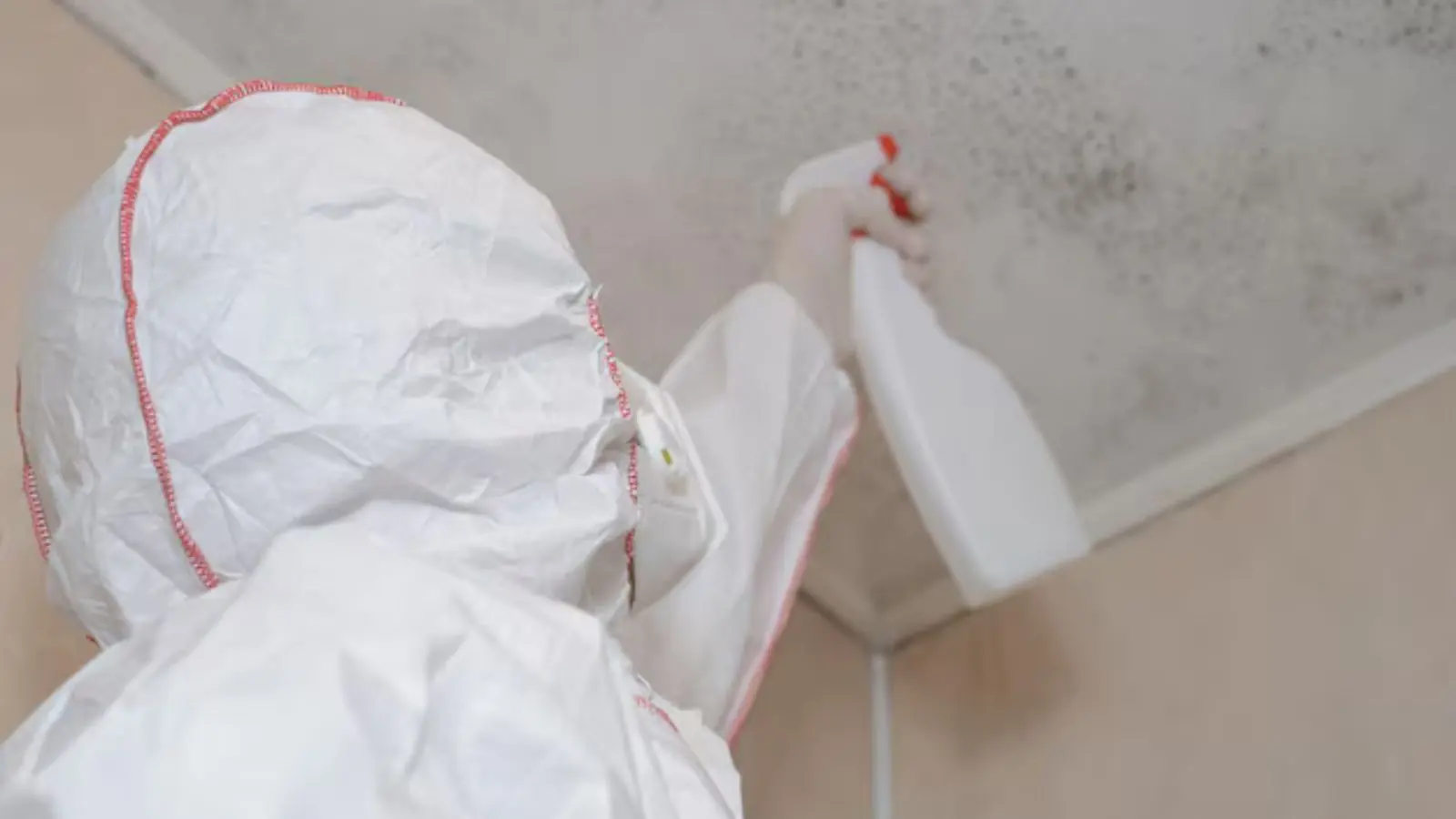 Worker in a protective suit spraying cleaner on a moldy ceiling corner