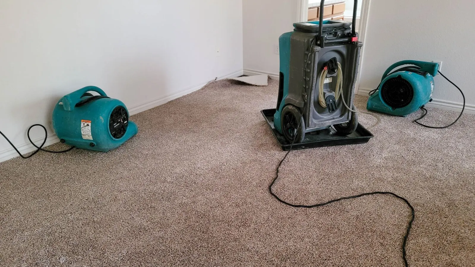 Dehumidifier and air movers drying wet carpet